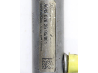 Топливная рампа 6420702695, 6420702695 Jeep Commander для двигателя EXL