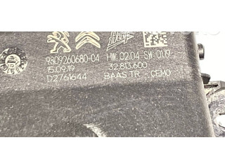 Блок управления крышки багажника 9809260680, 27660   Peugeot 3008 II