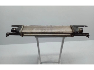 Интеркулер     Fiat Punto (199) 