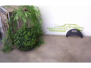 Дисплей    503001060104, 503001060104   Citroen C8