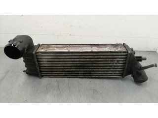 Интеркулер 1489396080 Citroen C8 2.2