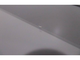 Дисплей    280346419R   Renault Captur II