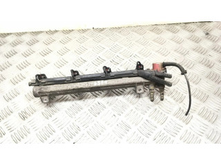 Vstřikovač 036971824A, 036133319 Volkswagen Golf IV pro benzínový motor 1.6 BCB