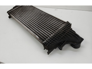 Интеркулер  A1645001900, A1645001900   Mercedes-Benz R W251 