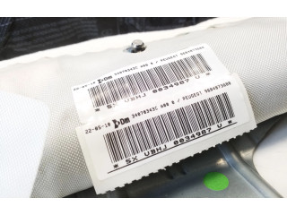 Надувная подушка для крыши 9684873680   Peugeot 5008