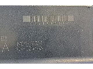 Блок управления двигателя 12S730S9, TMD1160A1 Chevrolet Tahoe