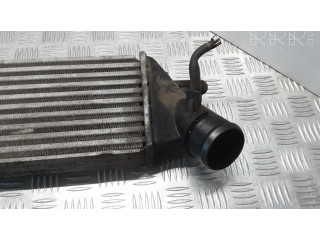 Интеркулер 1489396080 Citroen C8 2.2