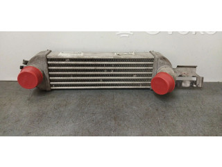 Интеркулер 52401245, 13127137 Opel Meriva A