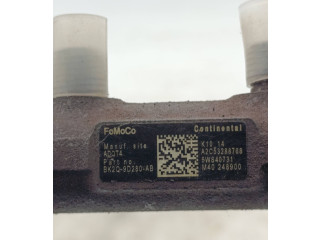 Топливная рампа BK2Q9D280AB, A2C53288768 Ford Transit Custom