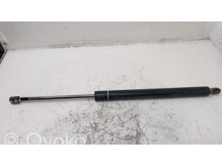 Амортизатор задней крышки