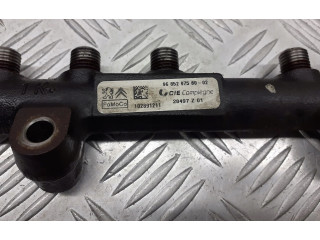 Vstřikovací lišta 9685297580 Ford Fiesta