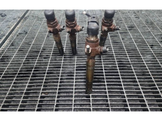 Жиклер (жиклеры) (форсунка (форсунки) 25837, 166006212R Dacia Duster