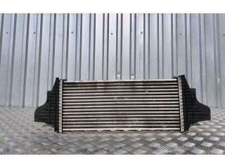 Интеркулер 2515000000, A2515000000 Mercedes-Benz R W251