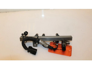 Vstřikovací lišta 110R006029, 110R006029   Fiat Punto (199)    Euro 6) 