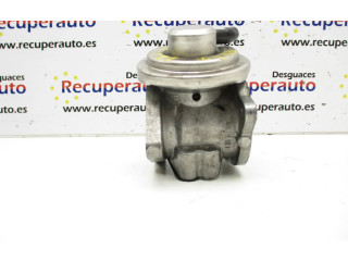 Клапан EGR 038129637D Seat Ibiza III (6L)