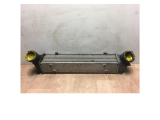 Vstřikovací čerpadlo 17517524916, 17517524916 BMW 1 E81 E87