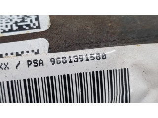 Боковая подушка безопасности 9681391580   Peugeot Partner