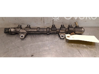 Vstřikovací lišta 0445214239, 0445214239   Fiat Punto (199)    199.B.4000(Euro 5) 