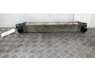 Интеркулер  00000384L7   Citroen Nemo 