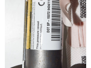 Боковая подушка безопасности 2459419D, 100526100D Tesla Model S