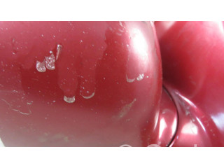 Блок управления    Honda Prelude