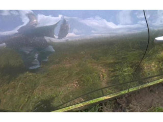 Přístrojová deska Renault Clio V 2021 248099519R, 248099519R