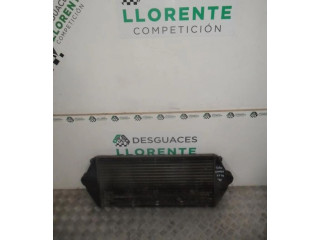 Интеркулер     Peugeot Expert 