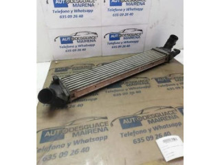 Интеркулер  8200409045   Dacia Sandero 