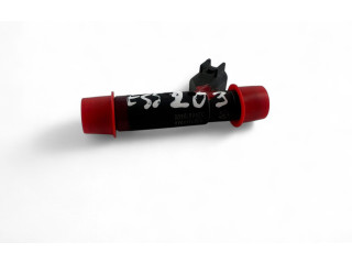 Injektor Einspritzdüse 53013690AA    Jeep Wrangler   