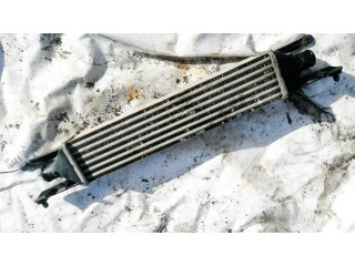 Интеркулер     Fiat Punto (188) 1.3
