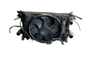 Pojistková skříňka Комплект радиатора A2045000393, 3135103789 Mercedes-Benz C W204 2012