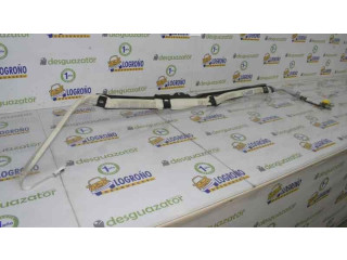 Боковая подушка безопасности 1K6880742AA, 1K6880741J   Volkswagen Golf Plus