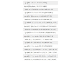 Zámek zadních dveří 1006531, 0220006 Ligier JS 50 2019