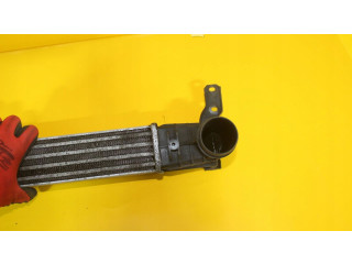 Интеркулер 221 Ford Galaxy