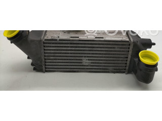 Интеркулер 9656525880 Citroen Xsara