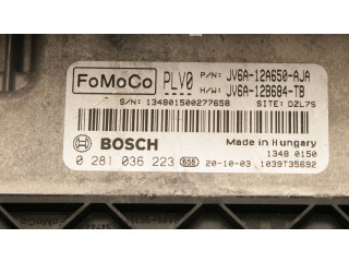 Блок управления двигателя 0281036223, JV6A-12A650-AJA   Ford Transit -  Tourneo Connect