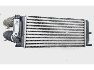 Интеркулер  9656503980, 992507M   Peugeot 5008 