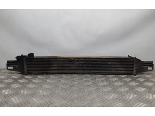 Интеркулер  51790623, BEHR   Citroen Nemo 