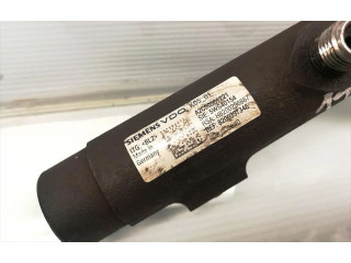 Топливная рампа H8200296867, 8200397346   Renault Clio III  