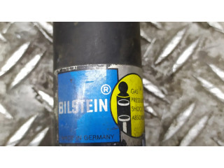 Задний aмортизатор      