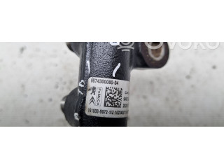 Vstřikovací lišta 9674300080 Ford Edge II pro naftový motor 2.0