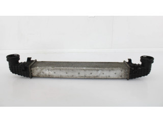 Интеркулер  A2115003902   Mercedes-Benz CLS AMG C219 