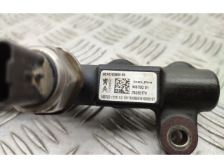 Комплект системы впрыска топлива 9674300080, 9674984080    Ford Kuga II  xrmc 