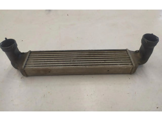 Интеркулер     BMW X3 E83 