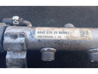 Vstřikovací lišta A6420702995, A6420700146 Mercedes-Benz E C207 W207