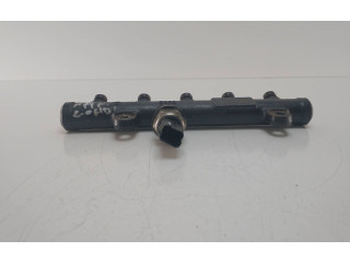 Топливная рампа    Peugeot Expert  