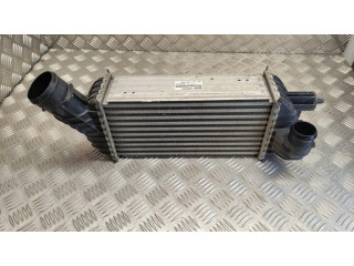 Интеркулер 9674720580, W9084002 Citroen DS5 2.0