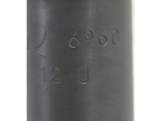 Форсунка 696012U, 696012U    Mazda Premacy   