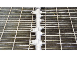 Vstřikovací lišta 0445214315, 8514154   BMW X1 F48 F49  pro naftový motor 2.0 B47 C20 A 