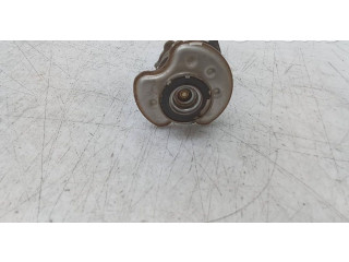 Форсунка 296302U000    Hyundai Ioniq   